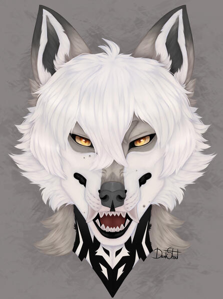 Shaded Headshot
